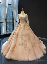 Champagne Gold Ball Gown Tulle Backless Long Sleeve Quinceanera Dresses